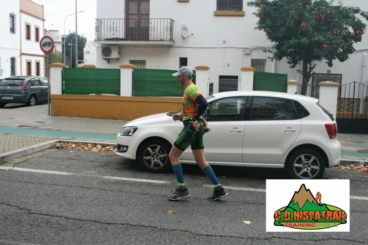 maraton_ 2017 (21)