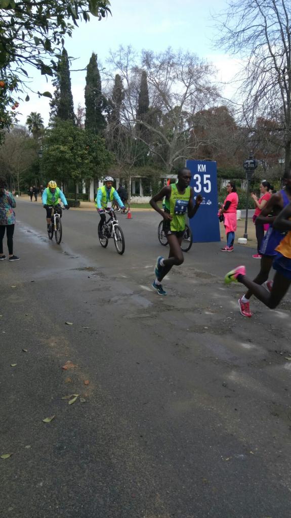maraton_ 2017 (30)