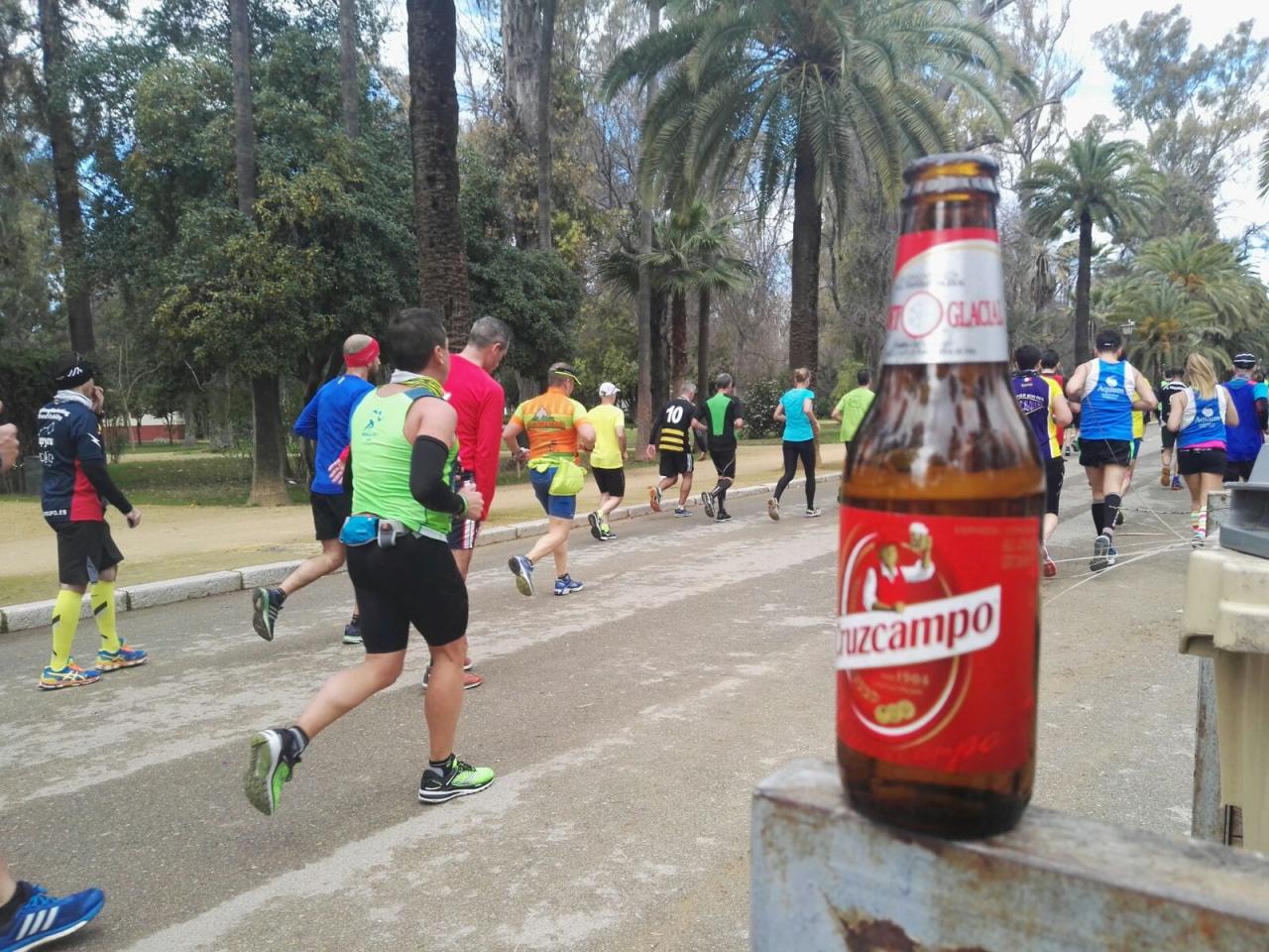 maraton_ 2017 (32)