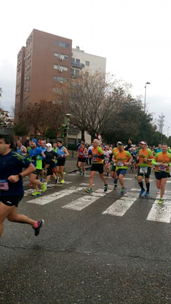 maraton_ 2017 (38)